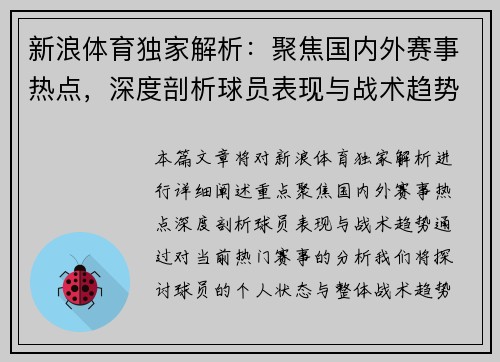 新浪体育独家解析：聚焦国内外赛事热点，深度剖析球员表现与战术趋势